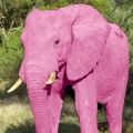 Розовый Слон