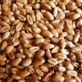 Продажа Пшеница 3кл влага 12,6 белок 14,5 кл 24 чп 300 200 тонн без ндс !!! собственник!!! 2018