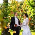 Осенняя свадьба и Выездная регистрация