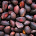 Кедровые орехи на экспорт (с лицензией)