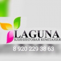 Лагуна, клининговая компания