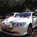 Машины на свадьбу!!!