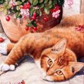 Рыжий кот (по мотивам картины Debbie Cook)