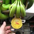 Бананы экспертиза качества