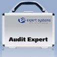 Аналитическая система Audit Expert