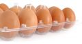 Яйцо куриное оптом С1, вес 55г-64,9 гр