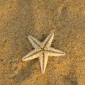 Песок нмывной (морской) от