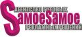 Профессиональное агентство распространения рекламы "SaмоеSaмое"