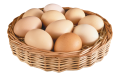 Яйца куриное ооптом, яйцо куриное с доставкой