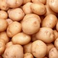 Картофель проловольственный сорт импала оптом от 20 тонн