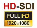 Система видеонаблюдения на HD-SDI Full HD камерах