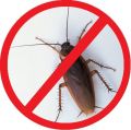 Морить травить вывести избавиться от тараканов