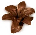 Шоколадные цветы – сладкие букеты, корпоративные подарки для женщин