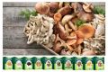 Удобная и простая Домашняя грибная ферма Mushrooms Farm лисички