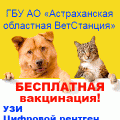 ГБУ АО "Астраханская областная ветеринарная станция"