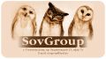 Компания SovGroup