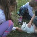 Общение детей с животными