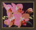 Схема для вышивки бисером - "Орхидея"