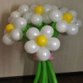 Букет цветов из воздушных шаров из 7-ми ромашек
