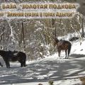 Конный тур "Зимняя сказка в горах Адыгеи"