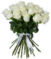Белые розы импортные