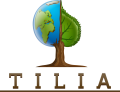 Производственно-оптовое предприятие "Tilia"