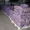 Картофель от производителя от 20 тонн