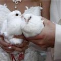 Выпуск свадебных белых голубей у ЗАГСа.
