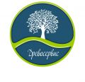 Древосервис, компания по лечению и ликвидации деревьев