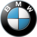 Масло моторное 10W-60 BMW 1л M TwinPower Turbo