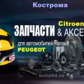Автозапчасти Renault Logan в Костроме Espace , Megane , Scenic , РЕНО Clio .