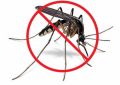 Уничтожение комаров, клещей, садовых вредителей в Кинеле