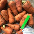 Морковь свежая оптом