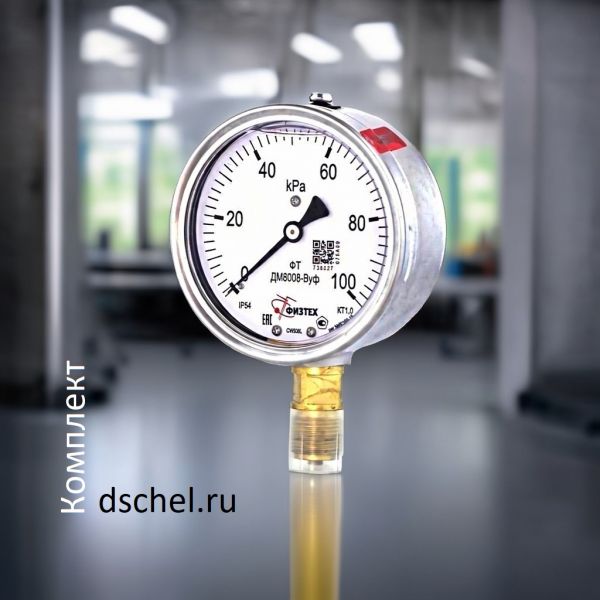 Виброустойчивый манометр ДМ8008-ВУф 0-100 кПа кт.1,0 d.100 IP54 M20*1,5 РШ ВуГл Физтех