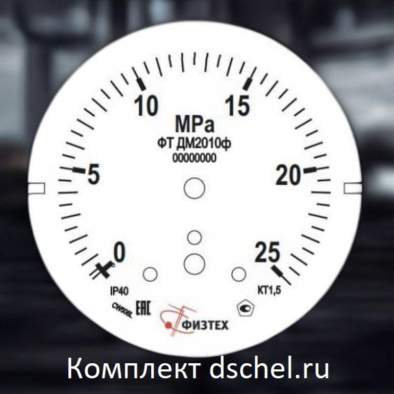 Шкала ДМ2010ф 0-25 МПа ЭКМ