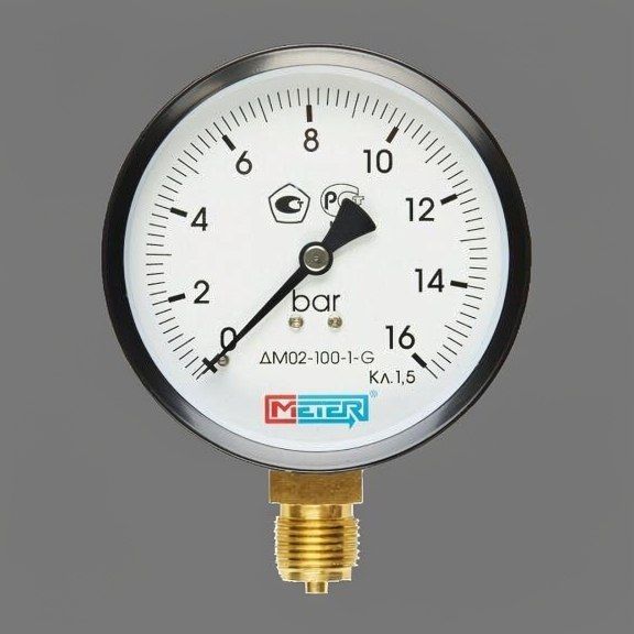 Манометр ДМ02-100-1-G-0...16 бар-1,5 Метер