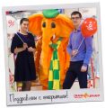 Встречай Оранжевого слона, город Калининград!!!