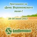 День Воронежского поля 2017