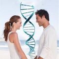 Генетическое установление родства