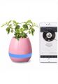 Музыкальный горшок для цветов Smart flowerpot
