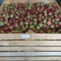 Деревянный контейнер для хранения овощей и фруктов с сборкой и доставкой на ваш склад