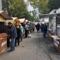 В Анапе стартовала ярмарка фермерской продукции под управлением Ассоциации «Народный фермер»