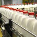 Молоко и молочные продукты оптом