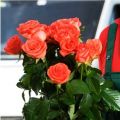 Запуск «Цветобазы» в Набережных Челнах ознаменовался розыгрышем 1000 роз