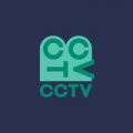 CCTV-31