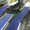 Модульные конвейерные пластиковые ленты от производителя в России.