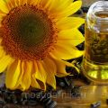 Sunflower oil, unrefined for export from Russia