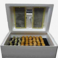 Инкубатор Золушка на 70 яиц с автоматическим переворотом (12/220В)