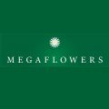 Megaflowers Самара
