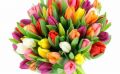 Букет из 35 разноцветных тюльпанов